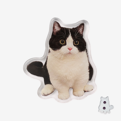 Fridge Magnet