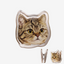 File Clip