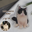 Fridge Magnet