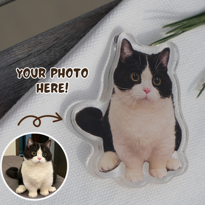 Fridge Magnet