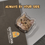 File Clip