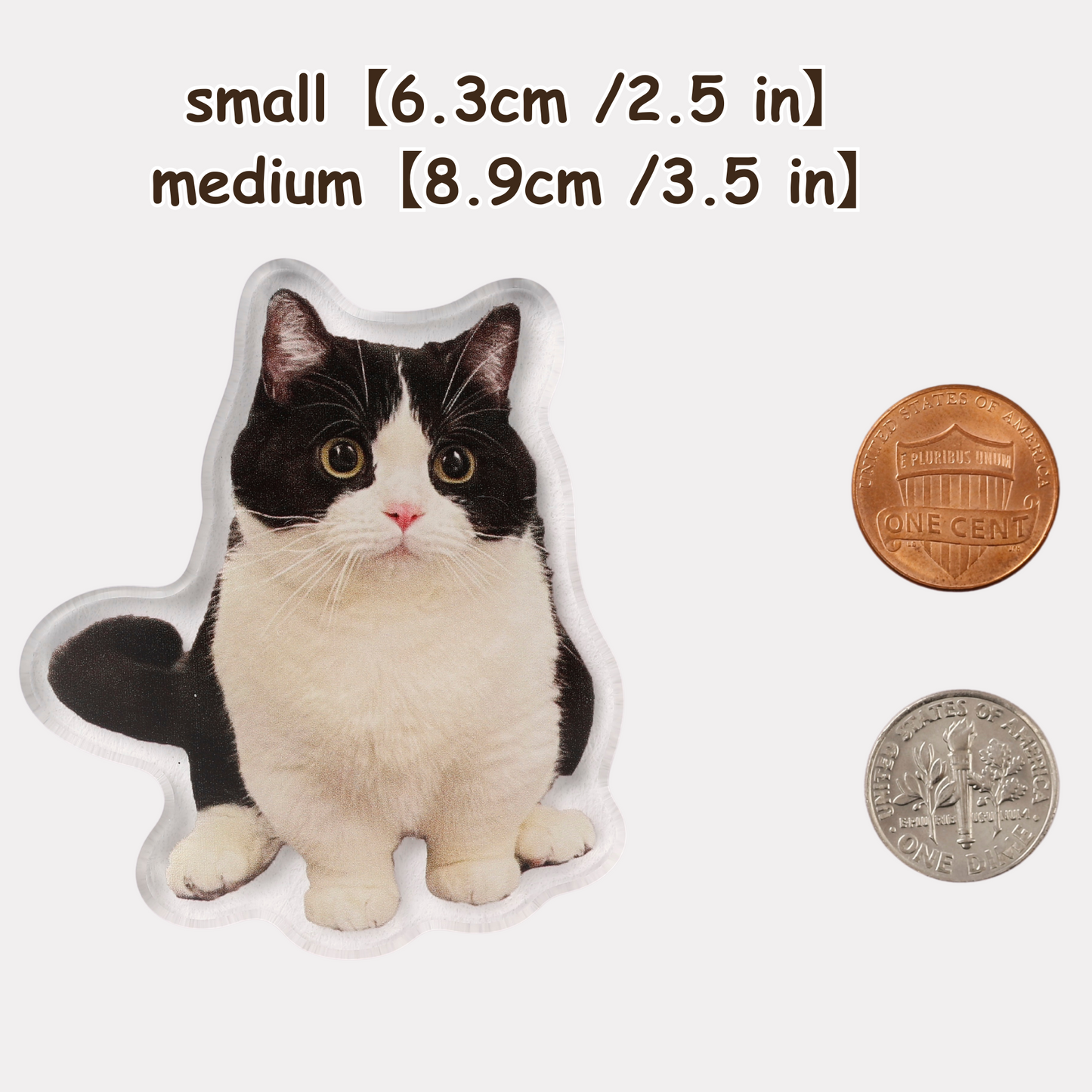Fridge Magnet